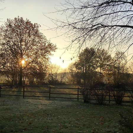 Villa Am Huelser Berg Naehe Duesseldorf Krefeld Buitenkant foto