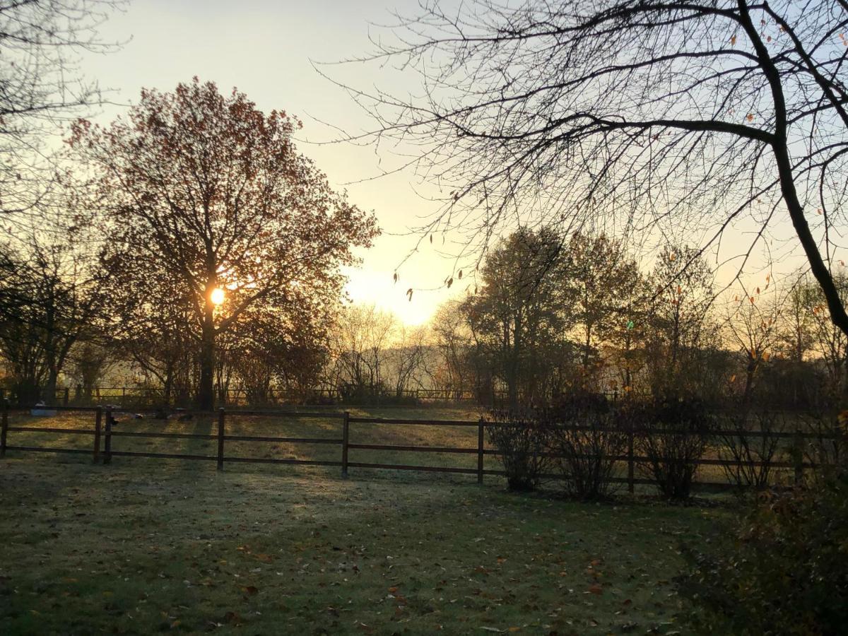 Villa Am Huelser Berg Naehe Duesseldorf Krefeld Buitenkant foto
