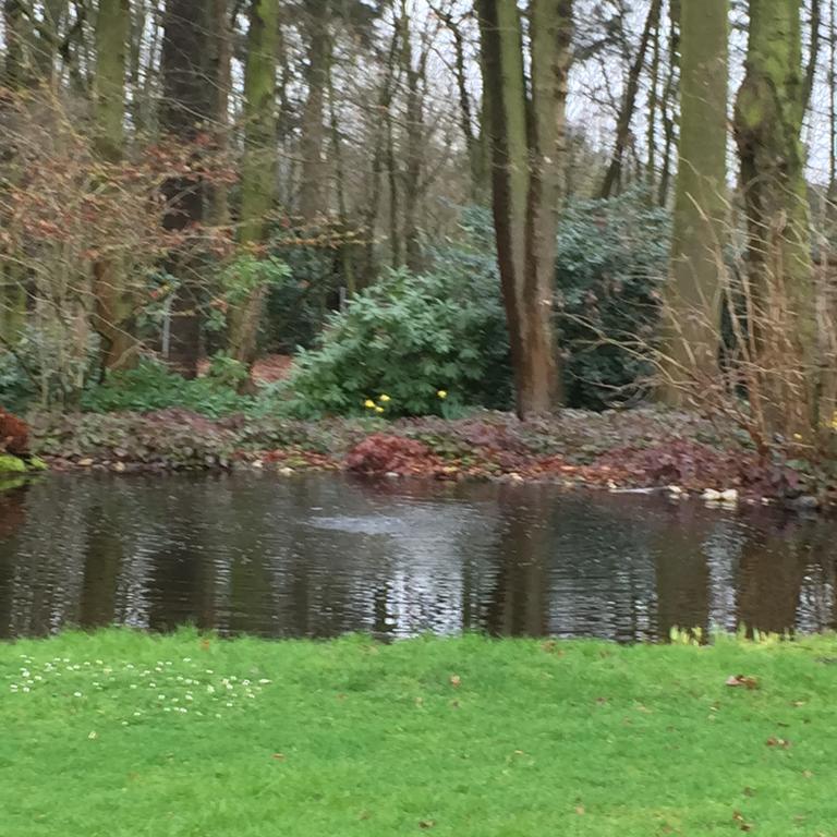 Villa Am Huelser Berg Naehe Duesseldorf Krefeld Buitenkant foto